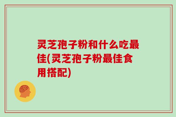 灵芝孢子粉和什么吃最佳(灵芝孢子粉最佳食用搭配)