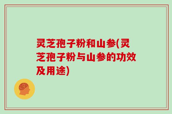 灵芝孢子粉和山参(灵芝孢子粉与山参的功效及用途)