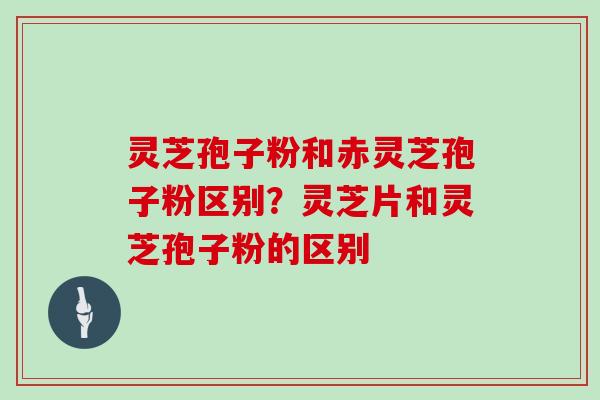 灵芝孢子粉和赤灵芝孢子粉区别？灵芝片和灵芝孢子粉的区别