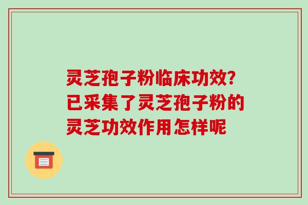 灵芝孢子粉临床功效?已采集了灵芝孢子粉的灵芝功效作用怎样呢