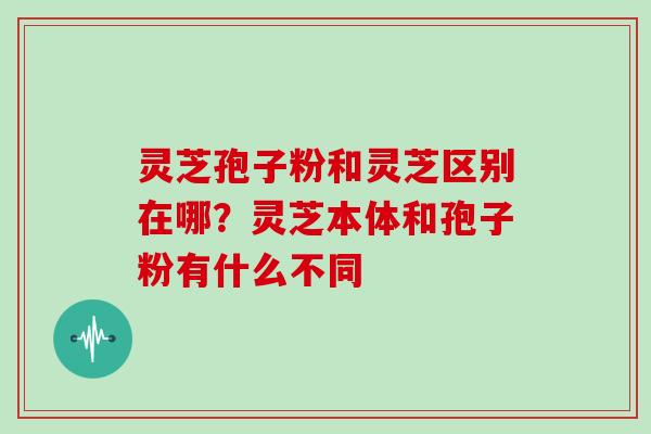 灵芝孢子粉和灵芝区别在哪？灵芝本体和孢子粉有什么不同