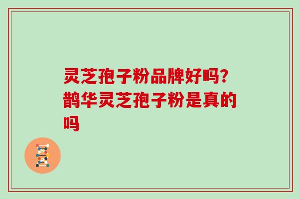 灵芝孢子粉品牌好吗?鹊华灵芝孢子粉是真的吗