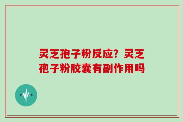 灵芝孢子粉反应?灵芝孢子粉胶囊有副作用吗