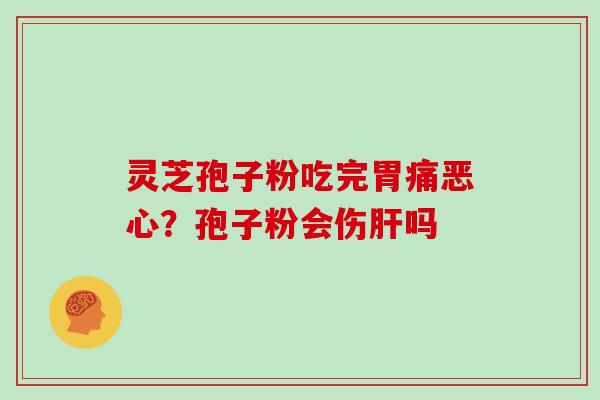 灵芝孢子粉吃完胃痛恶心?孢子粉会伤肝吗