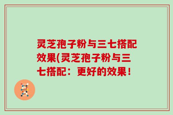 灵芝孢子粉与三七搭配效果(灵芝孢子粉与三七搭配:更好的效果!