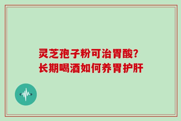 灵芝孢子粉可治胃酸?长期喝酒如何养胃护肝