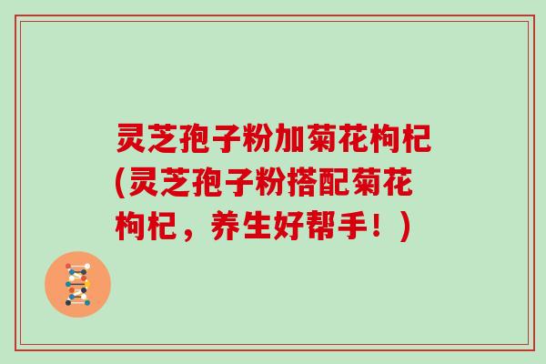 灵芝孢子粉加菊花枸杞(灵芝孢子粉搭配菊花枸杞,养生好帮手!)