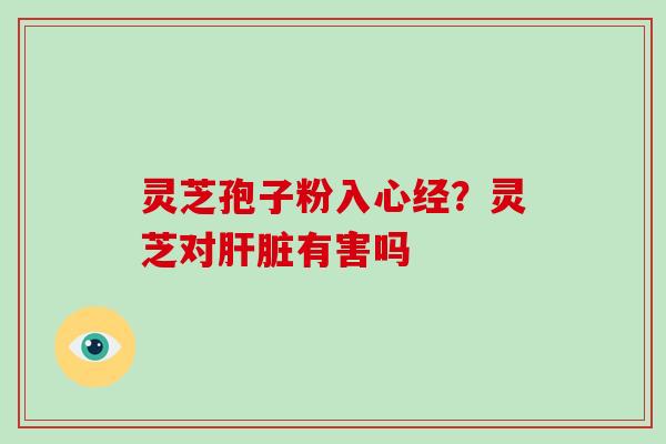 灵芝孢子粉入心经?灵芝对肝脏有害吗