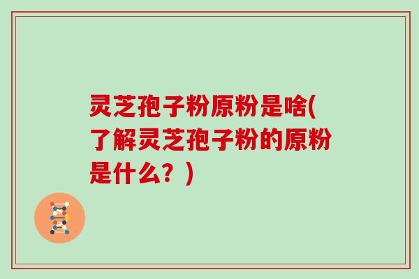 灵芝孢子粉原粉是啥(了解灵芝孢子粉的原粉是什么？)