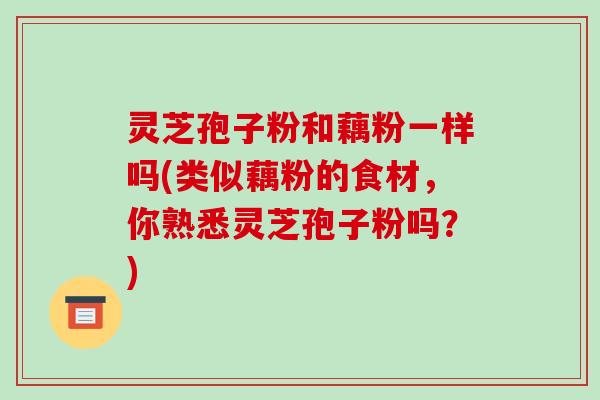 灵芝孢子粉和藕粉一样吗(类似藕粉的食材,你熟悉灵芝孢子粉吗?)