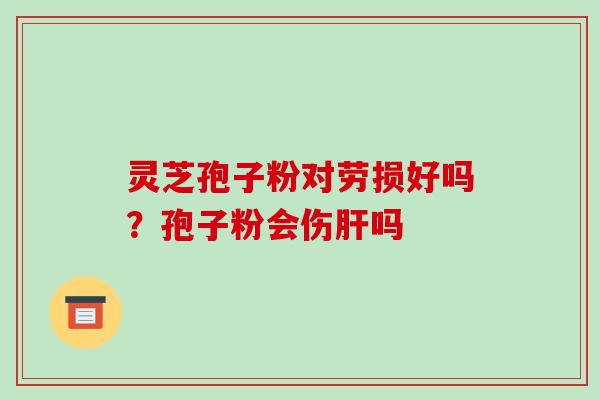 灵芝孢子粉对劳损好吗?孢子粉会伤肝吗