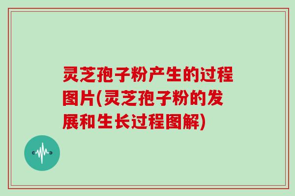 灵芝孢子粉产生的过程图片(灵芝孢子粉的发展和生长过程图解)