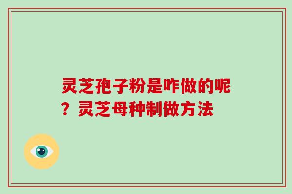 灵芝孢子粉是咋做的呢?灵芝母种制做方法
