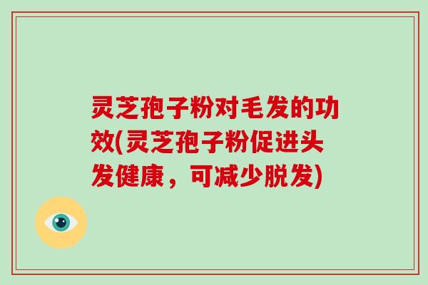 灵芝孢子粉对毛发的功效(灵芝孢子粉促进头发健康,可减少脱发)
