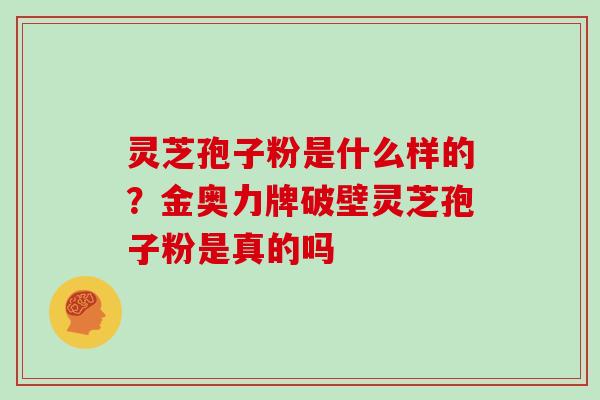 灵芝孢子粉是什么样的?金奥力牌破壁灵芝孢子粉是真的吗