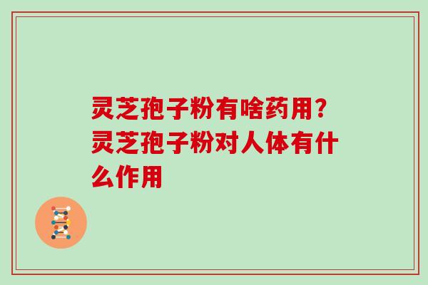 灵芝孢子粉有啥药用?灵芝孢子粉对人体有什么作用
