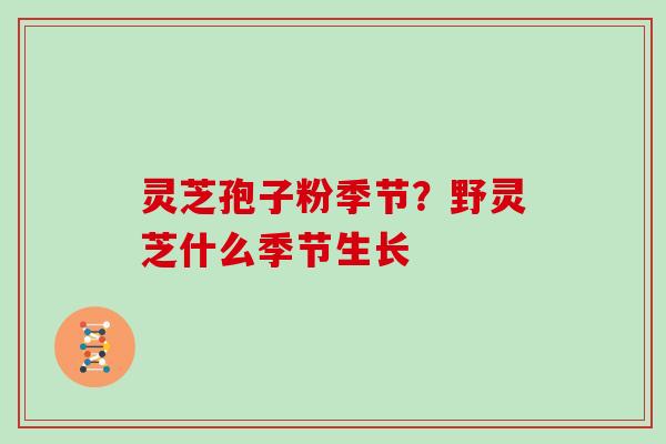 灵芝孢子粉季节？野灵芝什么季节生长