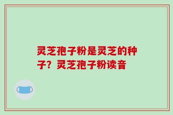 灵芝孢子粉是灵芝的种子?灵芝孢子粉读音
