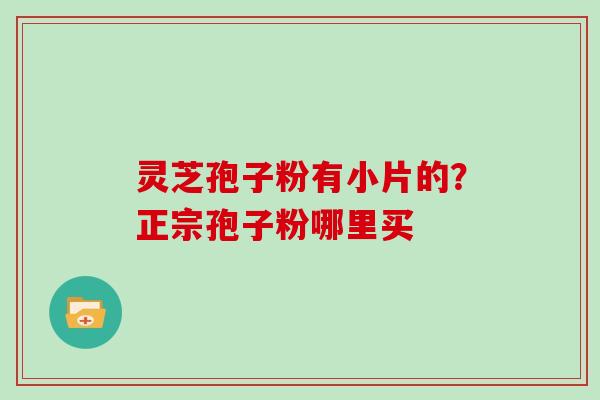 灵芝孢子粉有小片的?正宗孢子粉哪里买