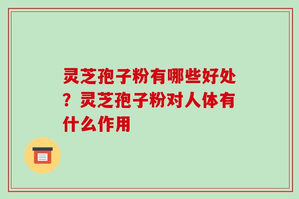 灵芝孢子粉有哪些好处？灵芝孢子粉对人体有什么作用