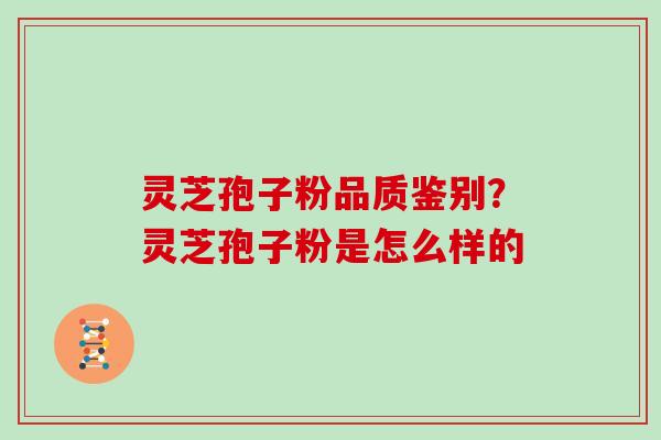 灵芝孢子粉品质鉴别?灵芝孢子粉是怎么样的