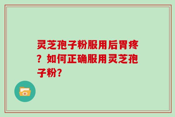灵芝孢子粉服用后胃疼?如何正确服用灵芝孢子粉?