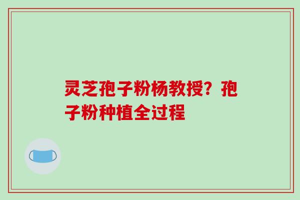 灵芝孢子粉杨教授？孢子粉种植全过程