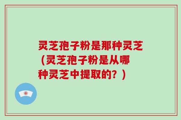 灵芝孢子粉是那种灵芝 (灵芝孢子粉是从哪种灵芝中提取的?)