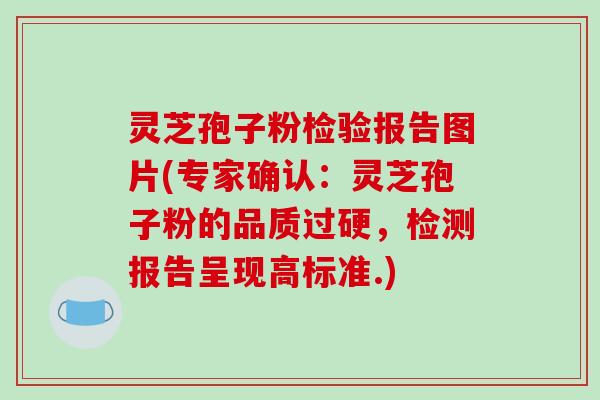 灵芝孢子粉检验报告图片(专家确认:灵芝孢子粉的品质过硬,检测报告呈现高标准.)