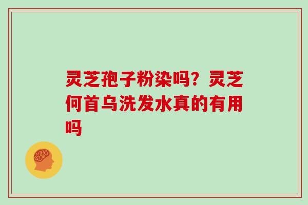 灵芝孢子粉染吗?灵芝何首乌洗发水真的有用吗