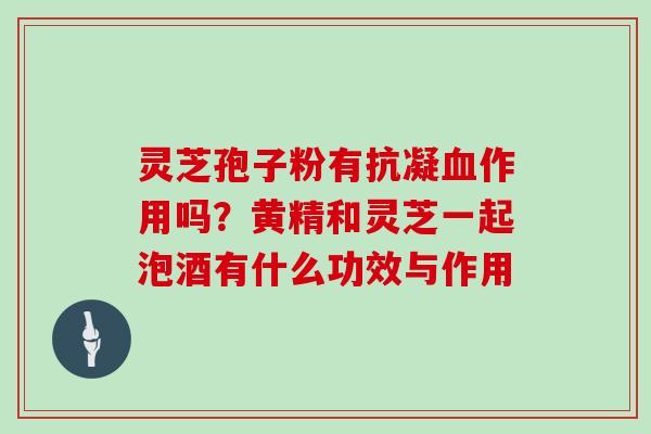 灵芝孢子粉有抗凝血作用吗？黄精和灵芝一起泡酒有什么功效与作用