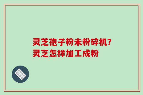 灵芝孢子粉未粉碎机?灵芝怎样加工成粉