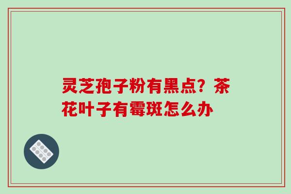 灵芝孢子粉有黑点？茶花叶子有霉斑怎么办