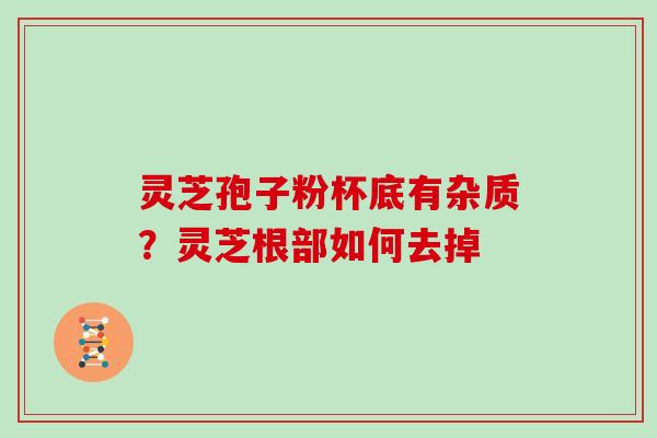 灵芝孢子粉杯底有杂质？灵芝根部如何去掉