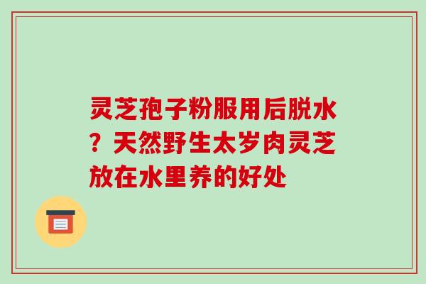 灵芝孢子粉服用后脱水?天然野生太岁肉灵芝放在水里养的好处