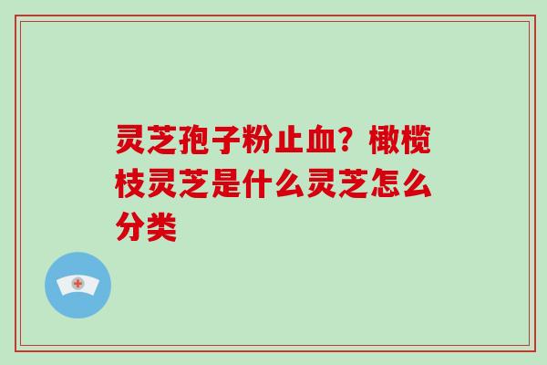 灵芝孢子粉止血?橄榄枝灵芝是什么灵芝怎么分类