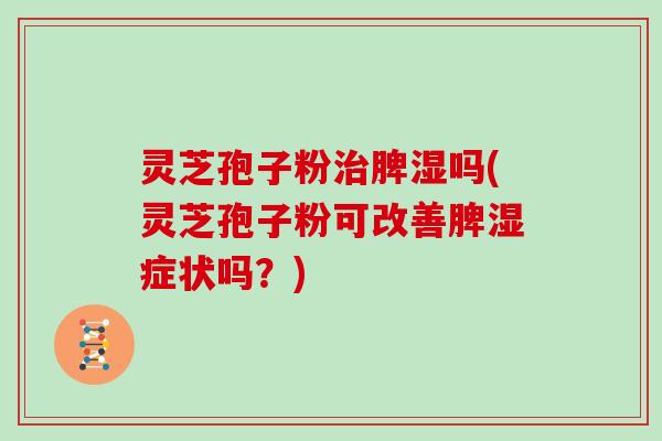 灵芝孢子粉治脾湿吗(灵芝孢子粉可改善脾湿症状吗?)