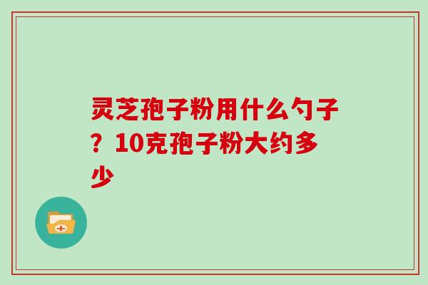 灵芝孢子粉用什么勺子?10克孢子粉大约多少