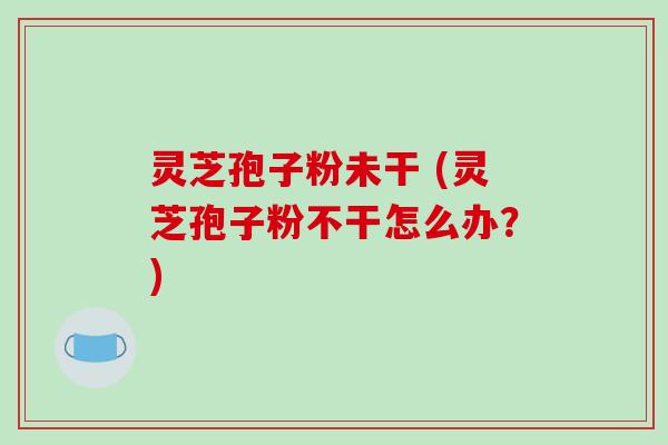 灵芝孢子粉未干 (灵芝孢子粉不干怎么办?)