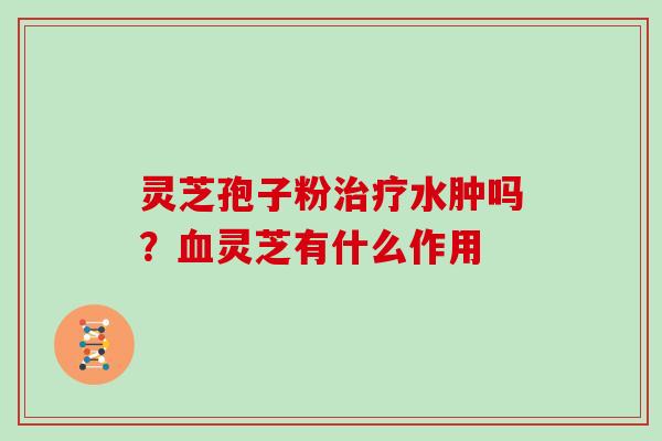 灵芝孢子粉治疗水肿吗?血灵芝有什么作用