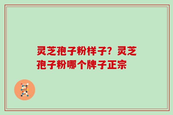 灵芝孢子粉样子？灵芝孢子粉哪个牌子正宗