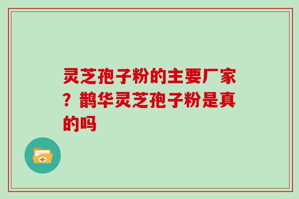 灵芝孢子粉的主要厂家？鹊华灵芝孢子粉是真的吗