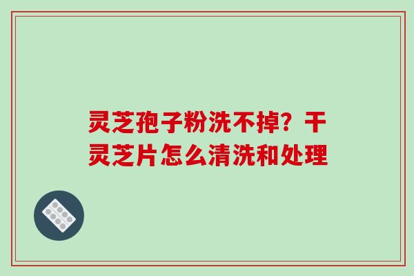 灵芝孢子粉洗不掉?干灵芝片怎么清洗和处理