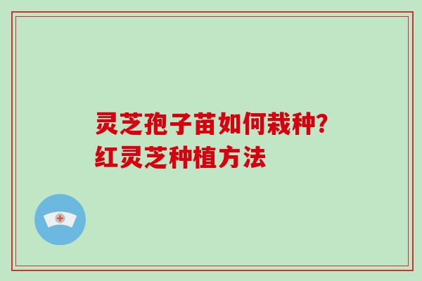 灵芝孢子苗如何栽种？红灵芝种植方法