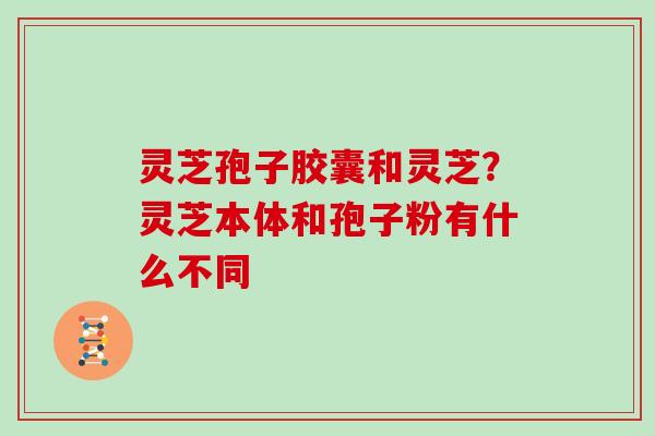灵芝孢子胶囊和灵芝？灵芝本体和孢子粉有什么不同