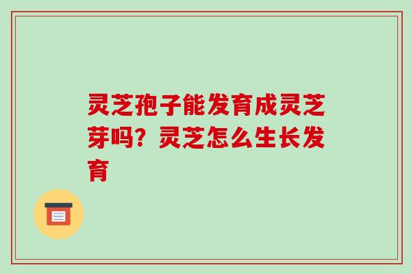 灵芝孢子能发育成灵芝芽吗?灵芝怎么生长发育