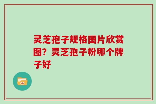 灵芝孢子规格图片欣赏图？灵芝孢子粉哪个牌子好