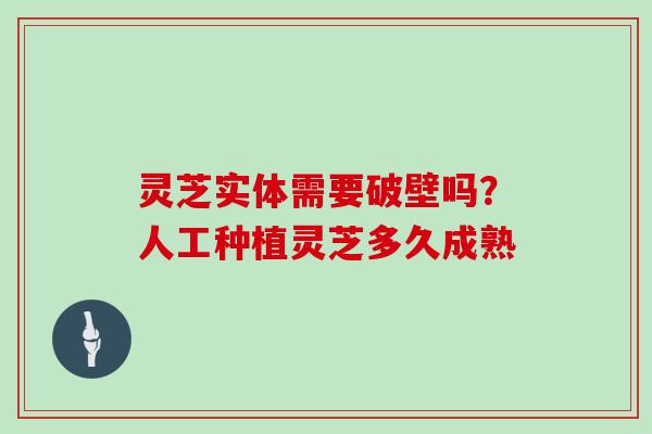灵芝实体需要破壁吗?人工种植灵芝多久成熟