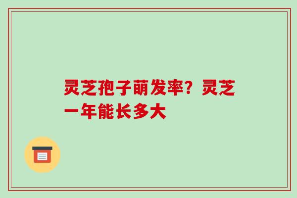 灵芝孢子萌发率?灵芝一年能长多大