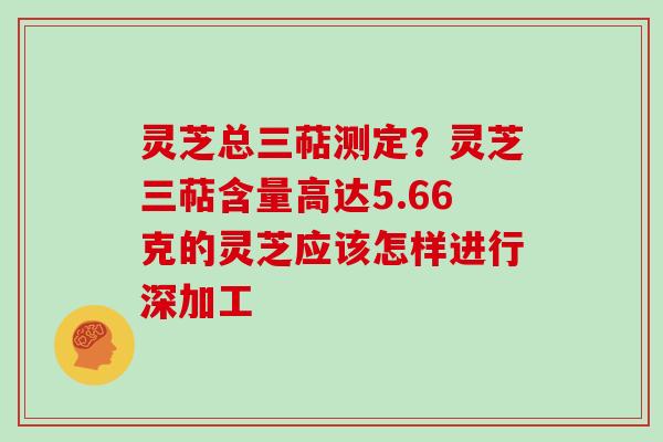 灵芝总三萜测定?灵芝三萜含量高达5.66克的灵芝应该怎样进行深加工